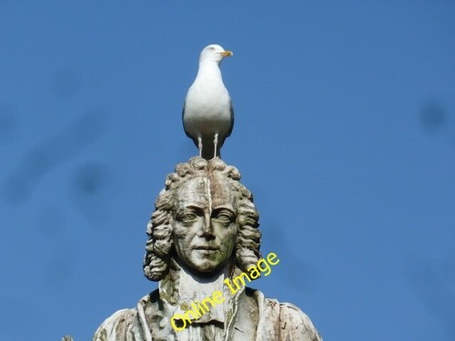 Photo 6x4 seagull - 6x4, watty's