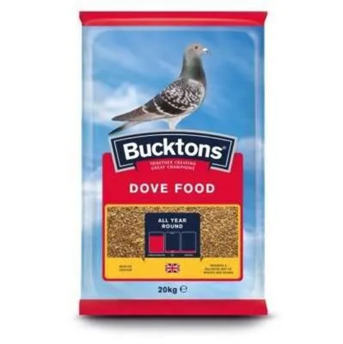 Pigeon feed bucktons dove food - pigeon,
