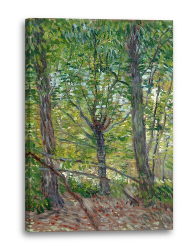 Canvas frames vincent van gogh - vincent,