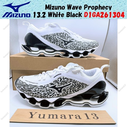 Mizuno wave prophecy - wave, 13.2