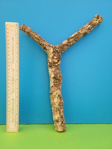 Cork bark branch 37cm snake - cork,