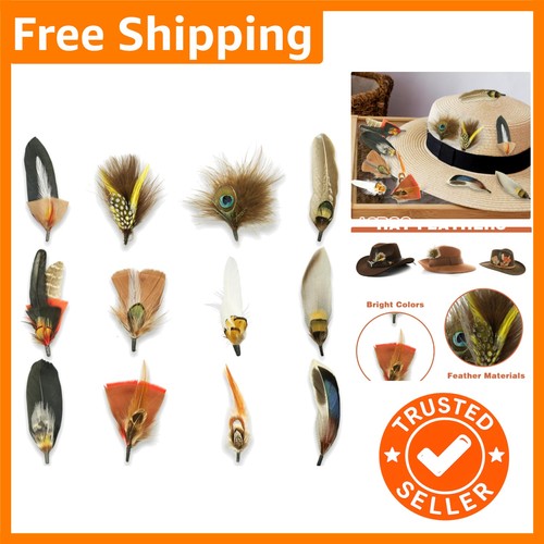 Assorted natural hat - 12,