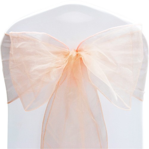 Tts peach melba organza - peach,