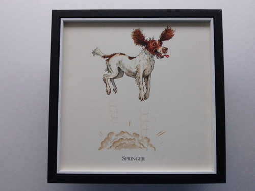 Bryn parry dog print - dog,