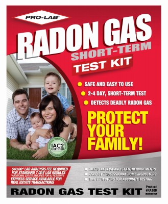 Professional radon test kit - test,