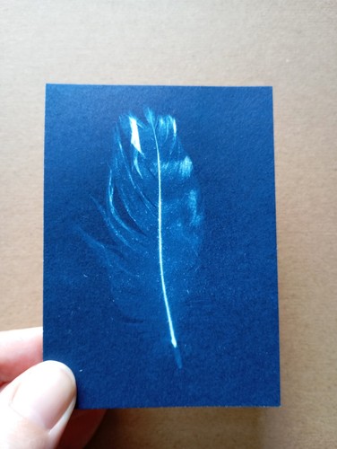 Aceo original cyanotype print - aceo,