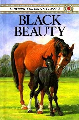Black beauty ladybird - black, (ladybird