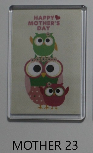 Extra large fridge magnet - extra,
