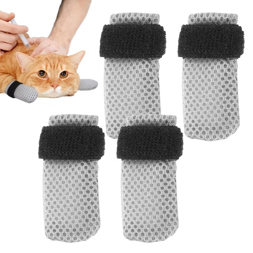 Cat boots - cat, paw