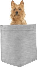 Australian Terrier Dog in