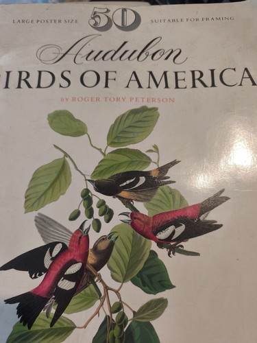 Audubon birds america by - audubon,