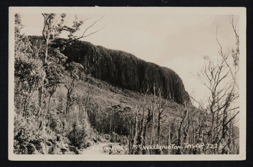 Vintage real photo postcard - vintage,