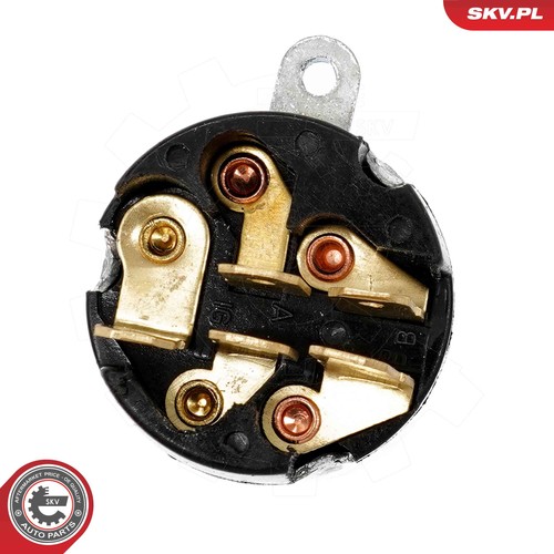 For skv germany - for,