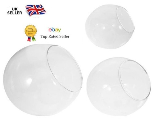 Glass terrarium bubble bowl - glass,