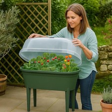 Mini Greenhouse Propagator