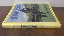 Thoroughbred Stallions by