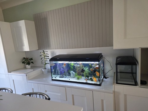 Fush tank and cabinet - fush,