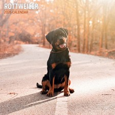 Rottweiler 2026 Traditional