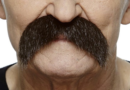 Mustaches fake mustache - fake, mustache,