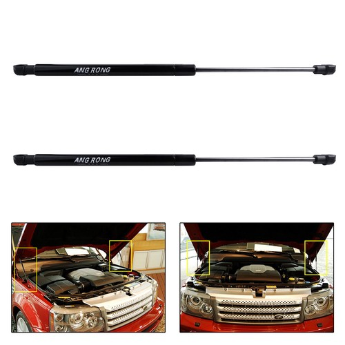Bonnet gas struts - 2,