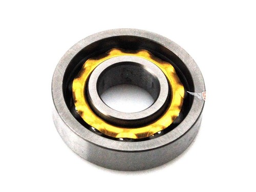 Bearing steel 17mm for