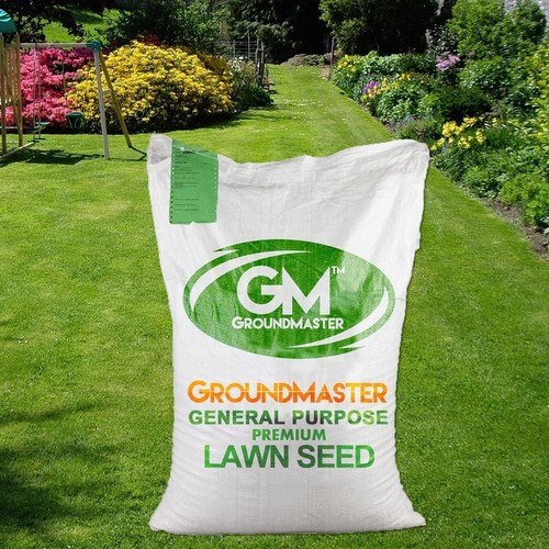 Grass seeds 1kg - grass, premium