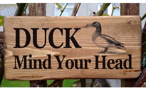 Duck mind your head - duck, beam