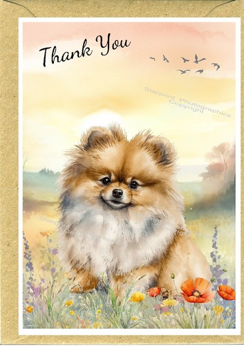 Pomeranian dog thank - thank, card