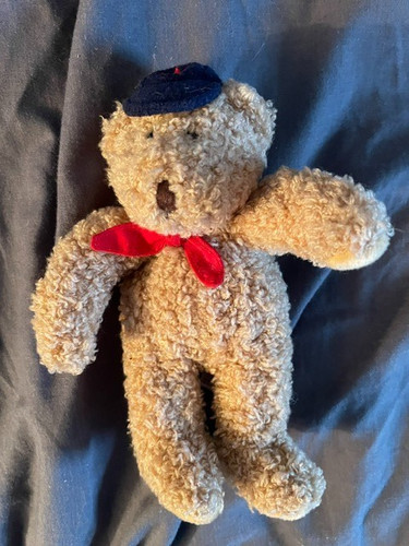 Debenhams maine bear - maine, with