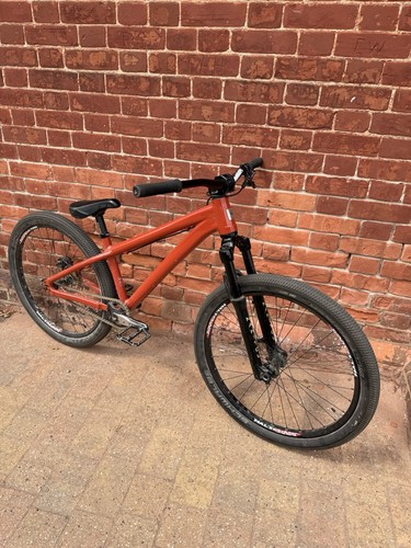 Santa cruz jackal - cruz, custom