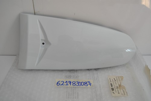 Central panel fairing shield