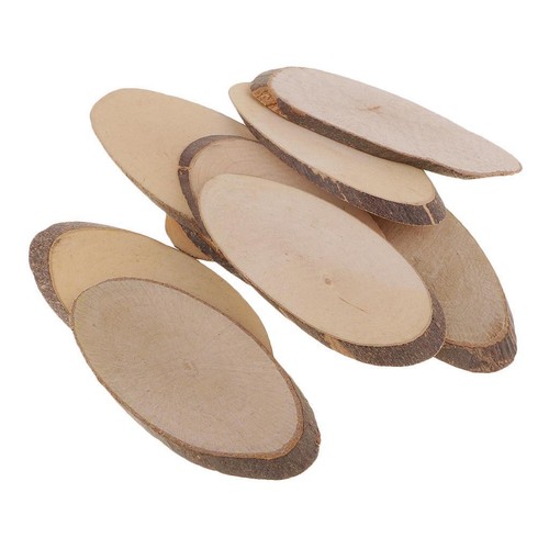 Pieces wood slices tree - 10,