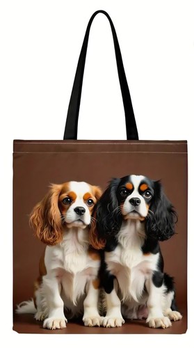 Cavalier king charles spaniel - king,