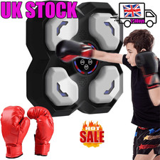 SMART PUNCHING BOXING