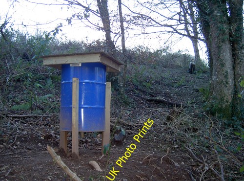 Photo 6x4 pheasant feeder - pheasant,