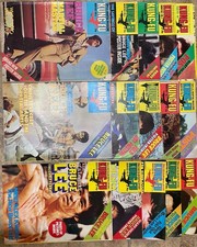 Kung-Fu Monthly Poster