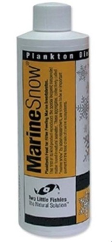 Julian sprungs marine - julian,