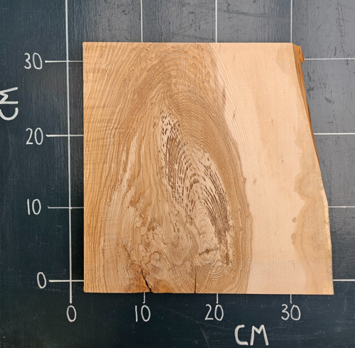Kiln dried planed ash slab - planed,