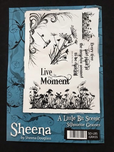 Silhouette grasses flowers - silhouette,