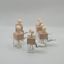  5Pcs  Empty Car Reed Diffuser