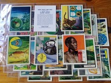 Bibby trex trade cards how - bibby,