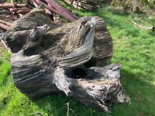 Large oak decorative tree stump 