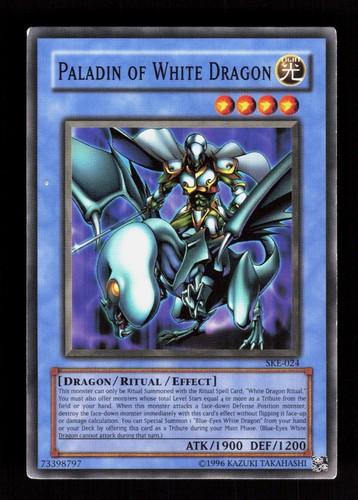 Paladin of white - paladin,