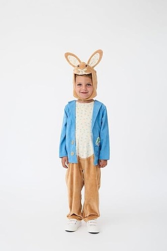 Childrens peter rabbit costume - childrens,