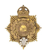 Royal Marine Light Infantry