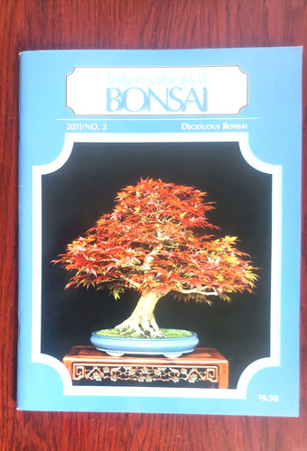 International bonsai - 'international, bonsai'