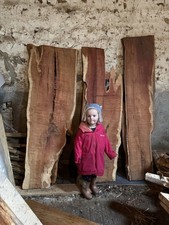 Yew boards live - , edge