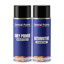 Central Paints Alloy Wheel