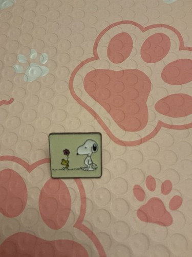 Snoopy peanuts enamel oblong - ,