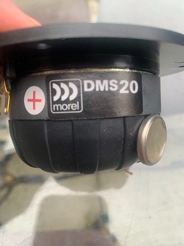 Morel dms soft - soft, dome